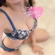 ヒメ日記 2025/12/28 07:31 投稿 桜木ひまり 紫苑-shion-