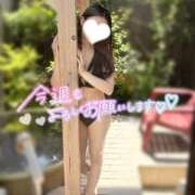 ヒメ日記 2025/12/29 09:21 投稿 桜木ひまり 紫苑-shion-