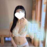 ヒメ日記 2026/01/23 09:21 投稿 桜木ひまり 紫苑-shion-