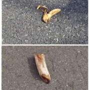 ヒメ日記 2026/03/15 09:24 投稿 入田桜歌 五十路マダム愛されたい熟女たち岡山店（カサブランカグループ）