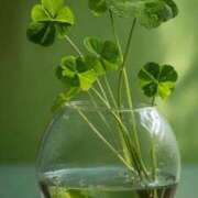 ヒメ日記 2025/12/29 16:47 投稿 なな 佐世保人妻デリヘル「デリ夫人」