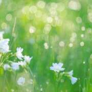 ヒメ日記 2025/12/30 12:37 投稿 なな 佐世保人妻デリヘル「デリ夫人」