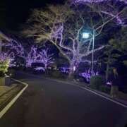 ヒメ日記 2026/01/16 12:20 投稿 なな 佐世保人妻デリヘル「デリ夫人」