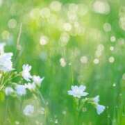 ヒメ日記 2026/01/20 06:42 投稿 なな 佐世保人妻デリヘル「デリ夫人」