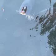 ヒメ日記 2026/01/29 21:42 投稿 なな 佐世保人妻デリヘル「デリ夫人」