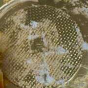 ヒメ日記 2026/04/18 00:46 投稿 なな 佐世保人妻デリヘル「デリ夫人」