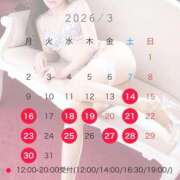 なお 🌸3月の出勤予定🌸 オペラ(吉原)