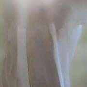 ヒメ日記 2025/05/06 07:26 投稿 小松 熟女の風俗最終章 新横浜店