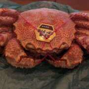 ヒメ日記 2025/08/08 18:39 投稿 あみな 東京人妻セレブリティ（ユメオト）