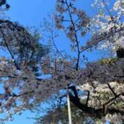 ヒメ日記 2026/02/24 14:27 投稿 ういか 千葉泡洗体デラックスエステ