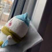 ヒメ日記 2026/04/17 12:47 投稿 ういか 千葉泡洗体デラックスエステ