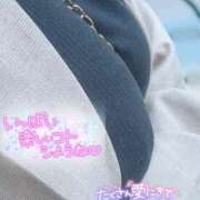 ヒメ日記 2025/08/16 11:30 投稿 れん ミスターダンディ パート2