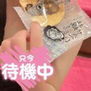 ヒメ日記 2026/07/23 18:48 投稿 れん ミスターダンディ パート2