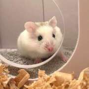 ヒメ日記 2025/11/26 17:12 投稿 みわ ハピネス福岡