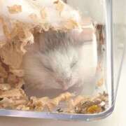 ヒメ日記 2025/12/09 02:42 投稿 みわ ハピネス福岡