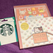 ヒメ日記 2025/12/28 16:03 投稿 みわ ハピネス福岡