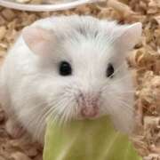 ヒメ日記 2026/03/30 11:02 投稿 みわ ハピネス福岡