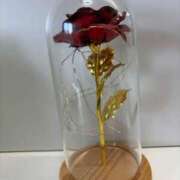 ヒメ日記 2025/05/03 15:42 投稿 柴崎かえで 五十路マダム 浜松店(カサブランカグループ)