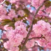 はる 明日❣️お誕生日❣️ G-SCANDAL