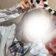 ヒメ日記 2025/11/14 19:24 投稿 あいゆ みつらん鉄道