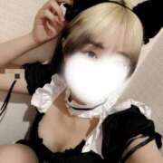 ヒメ日記 2026/01/08 10:34 投稿 あいゆ みつらん鉄道