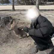 ヒメ日記 2026/02/12 12:28 投稿 あいゆ みつらん鉄道