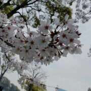 ヒメ日記 2026/03/02 10:34 投稿 あいゆ みつらん鉄道