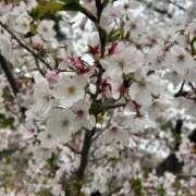 ヒメ日記 2026/04/06 21:59 投稿 あいゆ みつらん鉄道
