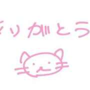ヒメ日記 2025/08/26 16:55 投稿 ここ コンカフェ×オナクラ あいこねくと