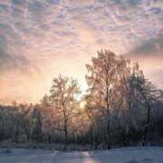 ヒメ日記 2025/12/06 12:30 投稿 なつ 新宿ハンドメイド