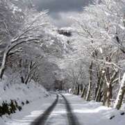 ヒメ日記 2025/12/12 12:30 投稿 なつ 新宿ハンドメイド