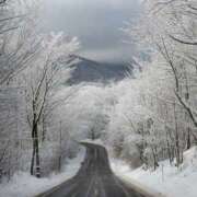 ヒメ日記 2025/12/16 08:00 投稿 なつ 新宿ハンドメイド