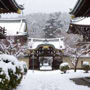 ヒメ日記 2025/12/20 08:00 投稿 なつ 新宿ハンドメイド