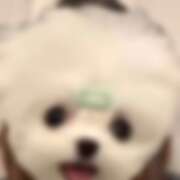 ヒメ日記 2026/01/04 01:02 投稿 なつ 新宿ハンドメイド