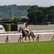 ヒメ日記 2025/05/11 20:22 投稿 にいな 鶯谷デリヘル倶楽部