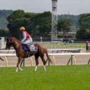 ヒメ日記 2025/05/13 01:42 投稿 にいな 鶯谷デリヘル倶楽部