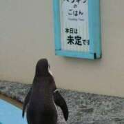 ヒメ日記 2025/08/30 11:42 投稿 にいな 鶯谷デリヘル倶楽部