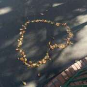 ヒメ日記 2025/08/10 18:44 投稿 おと CLUB DEEP