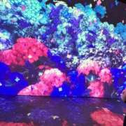 ヒメ日記 2025/06/08 15:29 投稿 すずか チェックイン素人専門大人女子