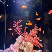 ヒメ日記 2025/07/12 14:29 投稿 すずか チェックイン素人専門大人女子