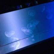 ヒメ日記 2025/09/02 18:39 投稿 すずか チェックイン素人専門大人女子