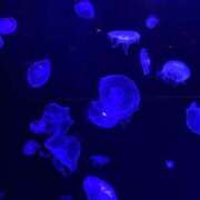 ヒメ日記 2025/05/08 15:04 投稿 ゆの 白いぽっちゃりさん