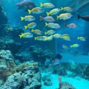 ヒメ日記 2025/06/09 19:02 投稿 ゆの 白いぽっちゃりさん