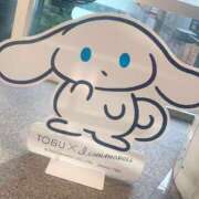 ヒメ日記 2025/06/26 18:43 投稿 ゆの 白いぽっちゃりさん