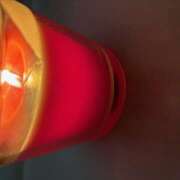 ヒメ日記 2025/07/13 11:13 投稿 吉瀬ゆみ ワイフコレクション