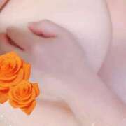 ヒメ日記 2025/11/22 03:58 投稿 まき 成田富里インターちゃんこ