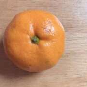 ヒメ日記 2025/11/24 08:08 投稿 まき 成田富里インターちゃんこ