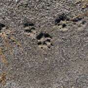 りんね お礼✨ 奥様特急　池袋・大塚店