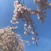 ヒメ日記 2025/10/19 23:35 投稿 みらい 激安ソープの殿堂　ボイン・ホーテ