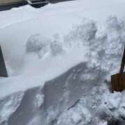 ヒメ日記 2026/01/26 15:55 投稿 みらい 激安ソープの殿堂　ボイン・ホーテ